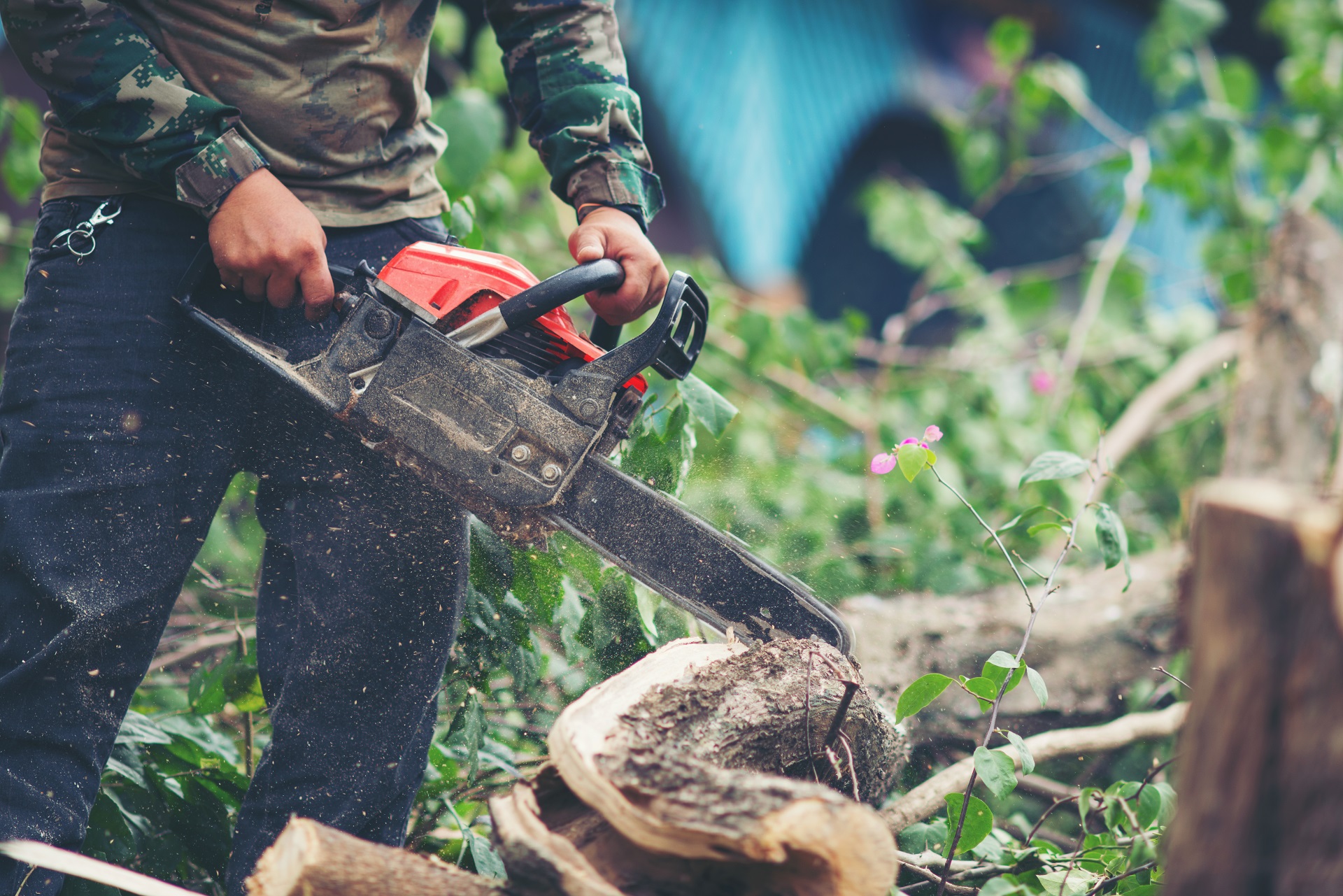 Asian man cutting trees using electrical chainsaw